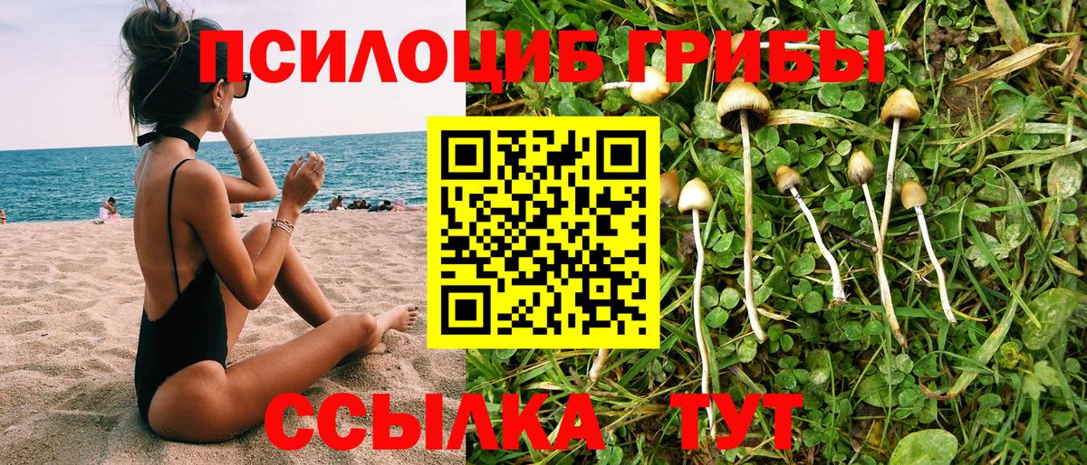 Кизляр  Псилоцибиновые грибы Psilocybine cubensis  Вход с VPN  Галлюциногенные грибы мухоморы 